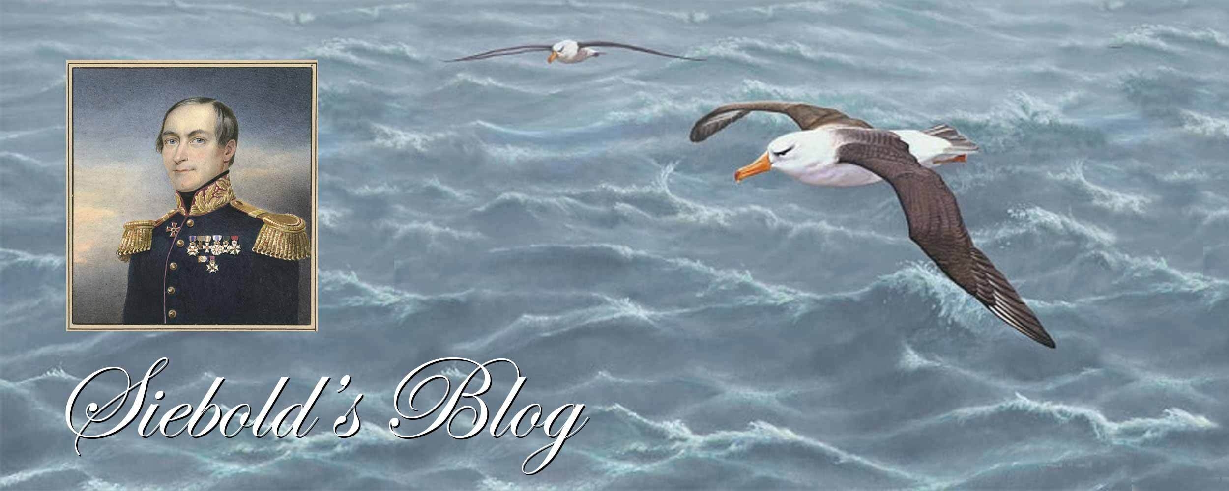 Sieboldblog albatros