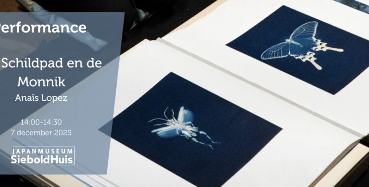 Anais performance banner