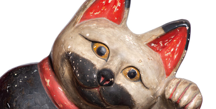 Neko Campagnekat Wit