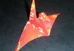 Kraanvogel Sh Web